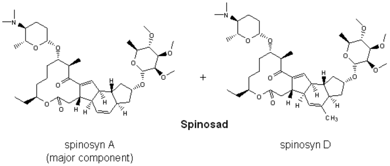 ​Alternative Insect Control – Spinosad